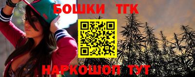 гидропоника Пугачёв