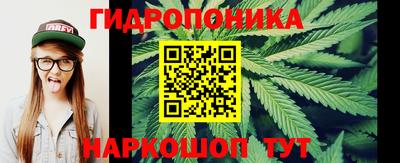 трава Партизанск